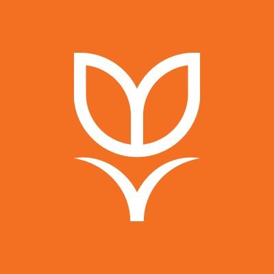 Tulipa Capital